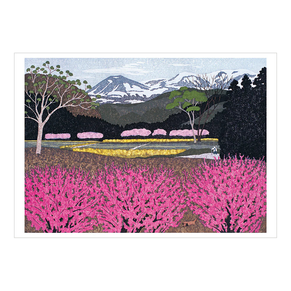 Kazuyuki Ohtsu: Cherry Trees Boxed Notecards
