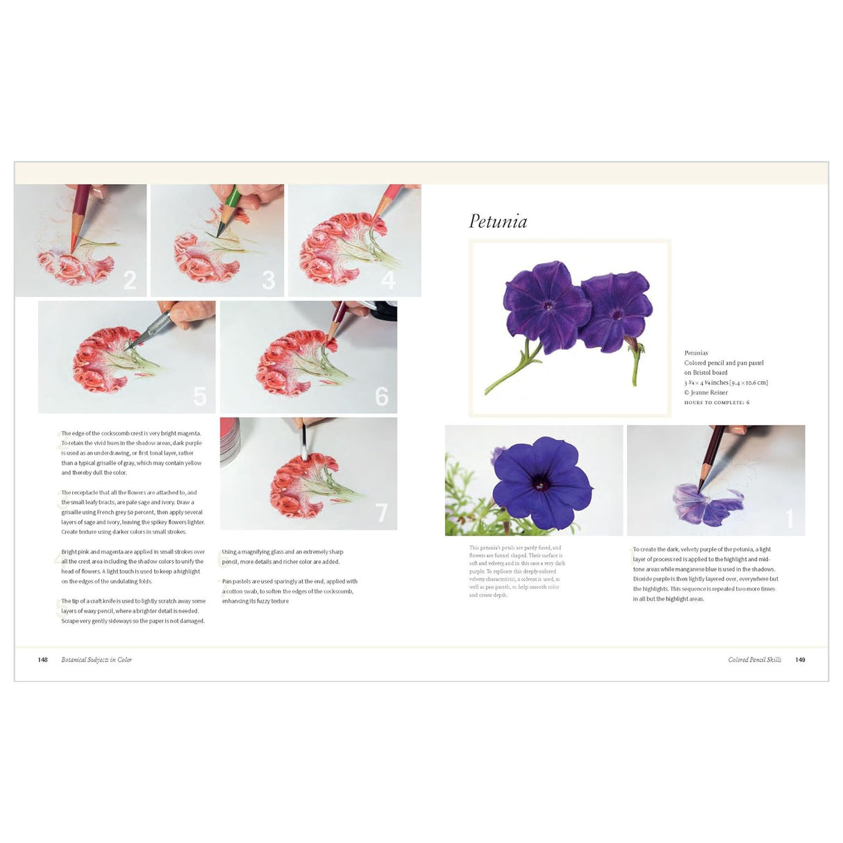 Botanical Art Technique