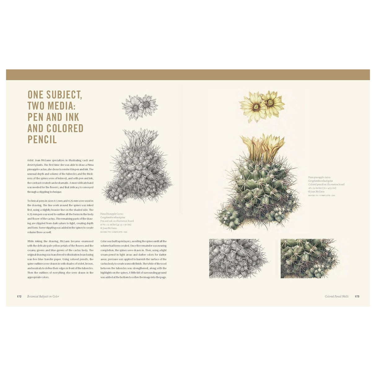 Botanical Art Technique