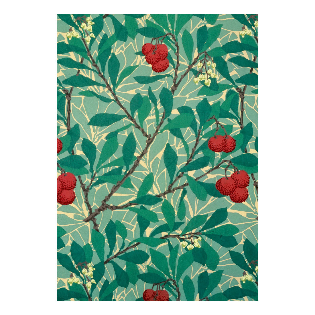 William Morris 'Arbutus' Boxed Holiday Cards