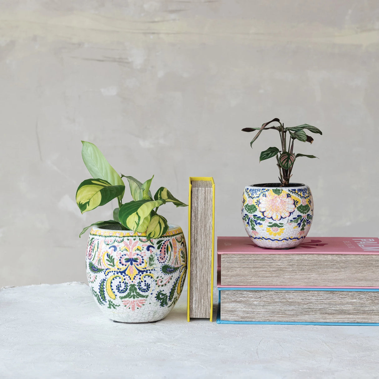 5" Botanical Terracotta Planter