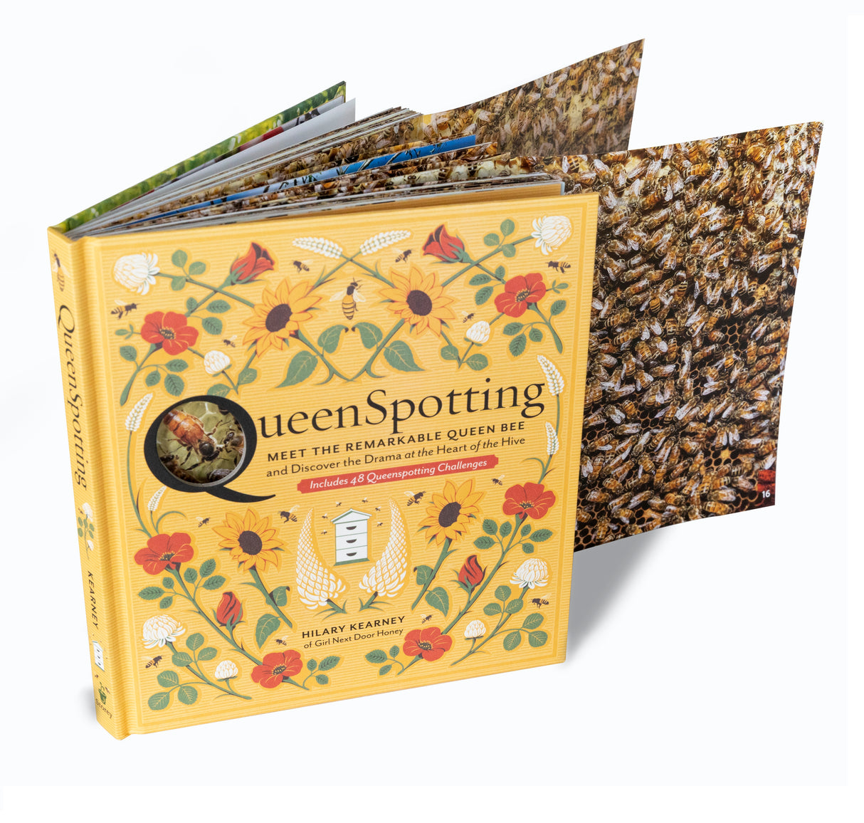 Queenspotting: Meet the Remarkable Queen Bee and Discover the Drama at the Heart of the Hive