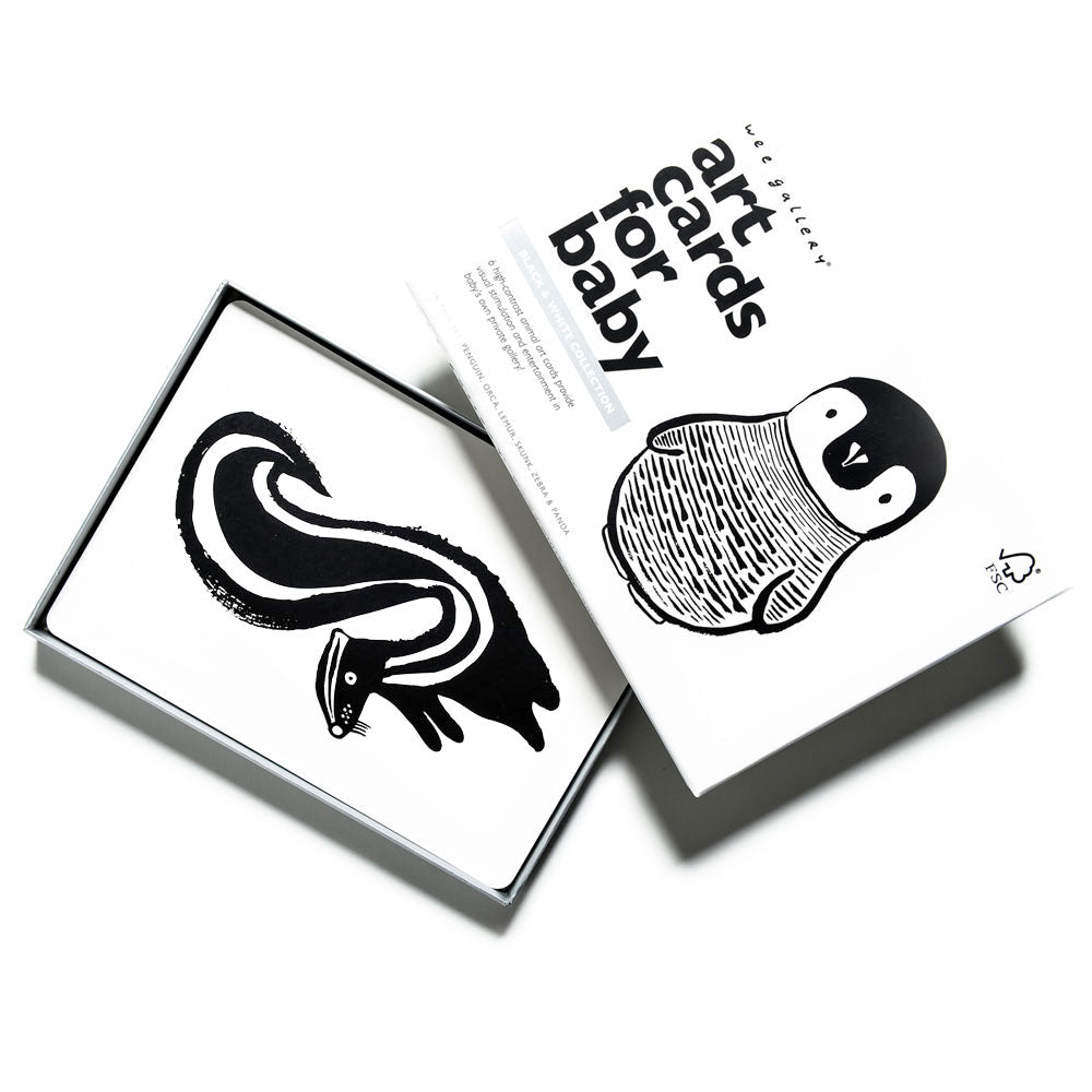 Art Cards for Baby - Black & White Collection