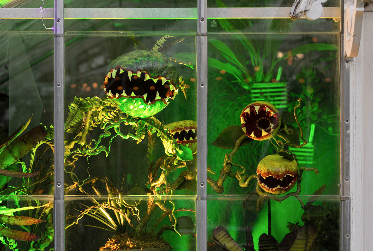 Wicked Garden