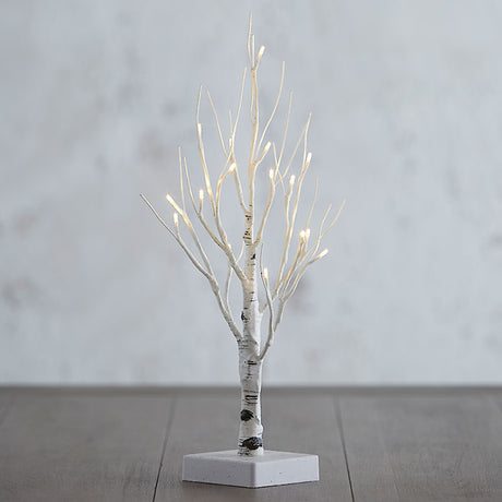 Lighted Birch Tree