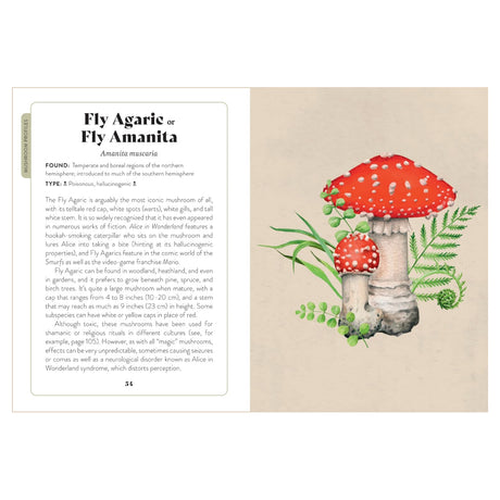 Mushroom Miscellany