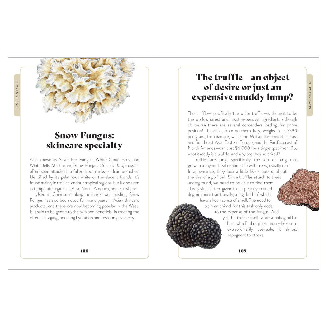 Mushroom Miscellany