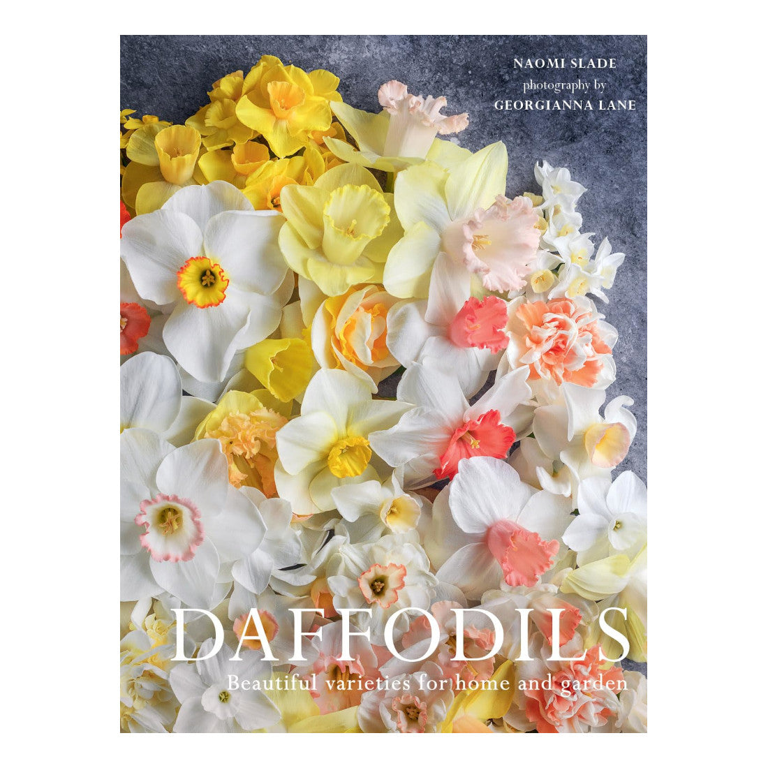 Daffodils: Beautiful Varieties for Home and Garden