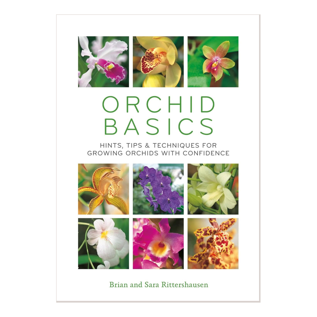 Orchid Basics