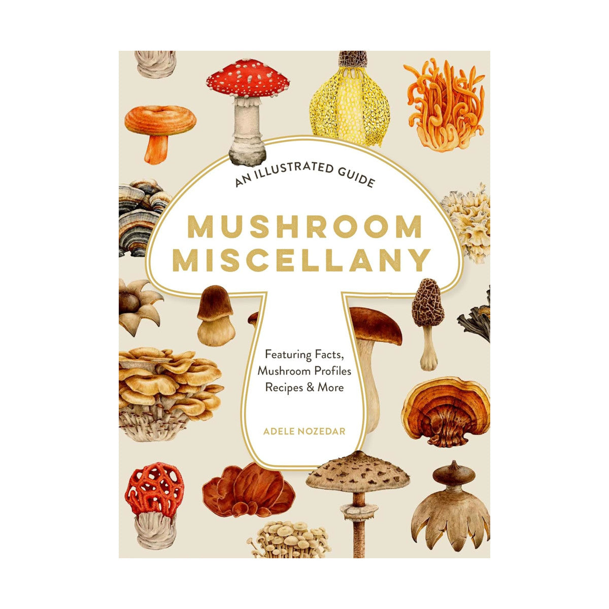 Mushroom Miscellany
