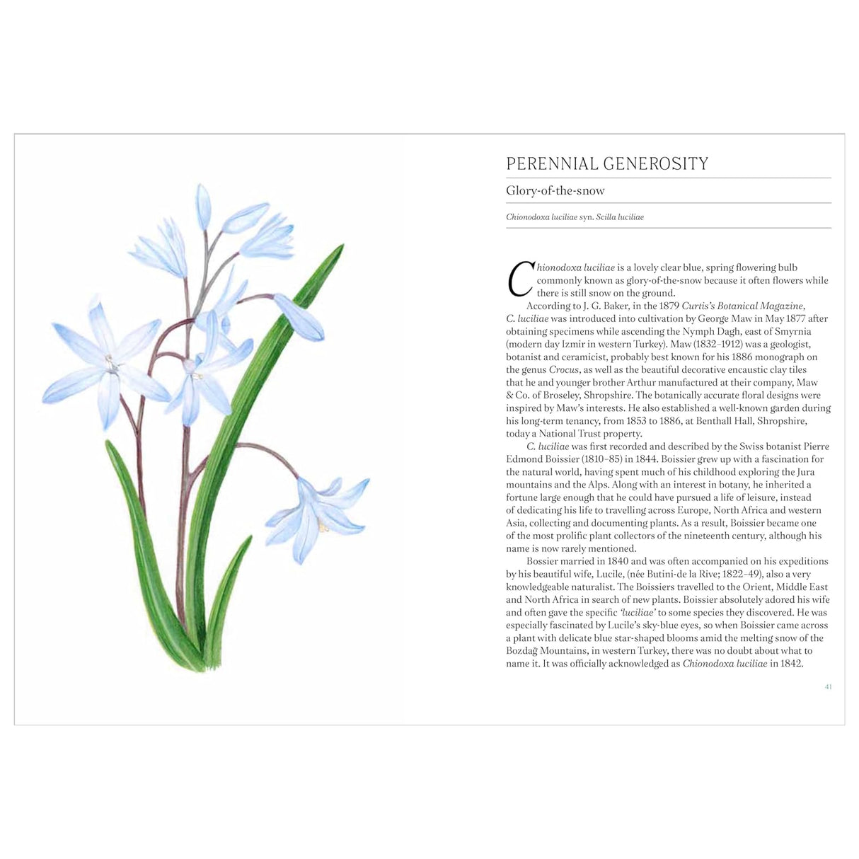 A Short History of Flowers