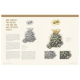 Botanical Art Technique