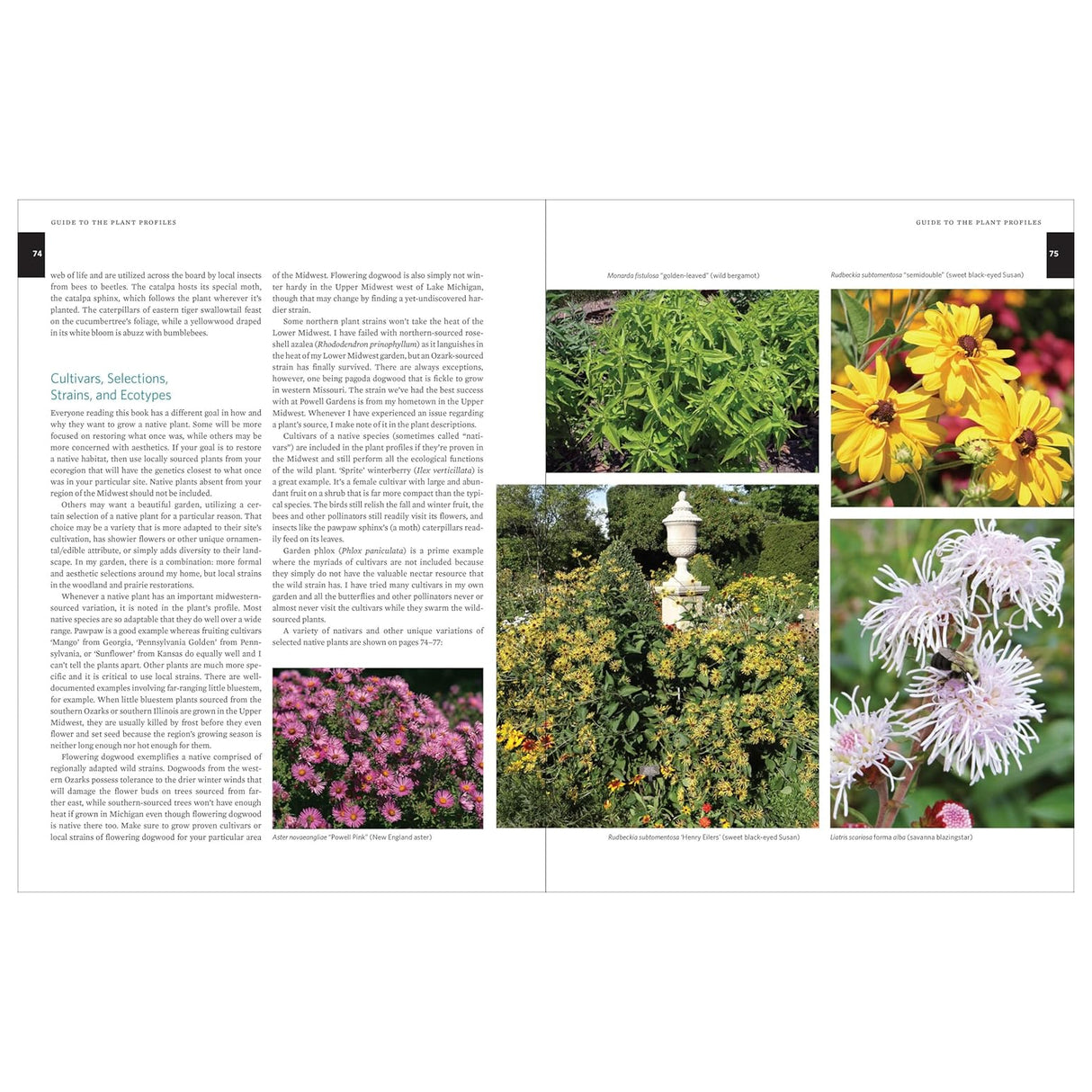 Native Plants of the Midwest