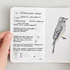 Bird Passport Journal