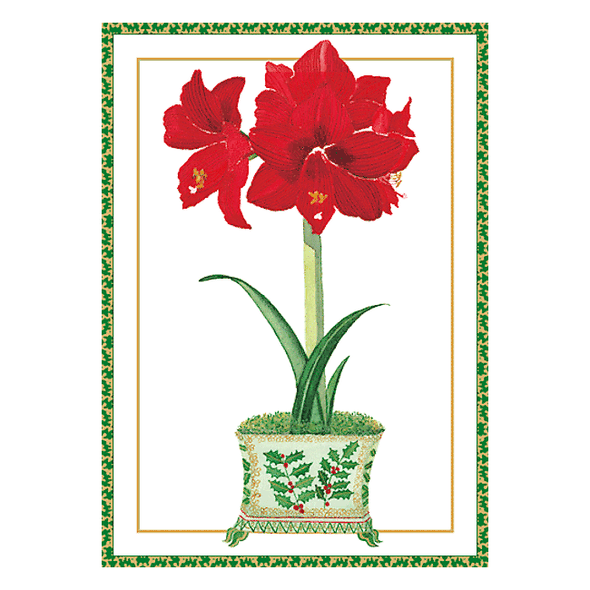 Amaryllis in Holly Pot Boxed Holiday Cards