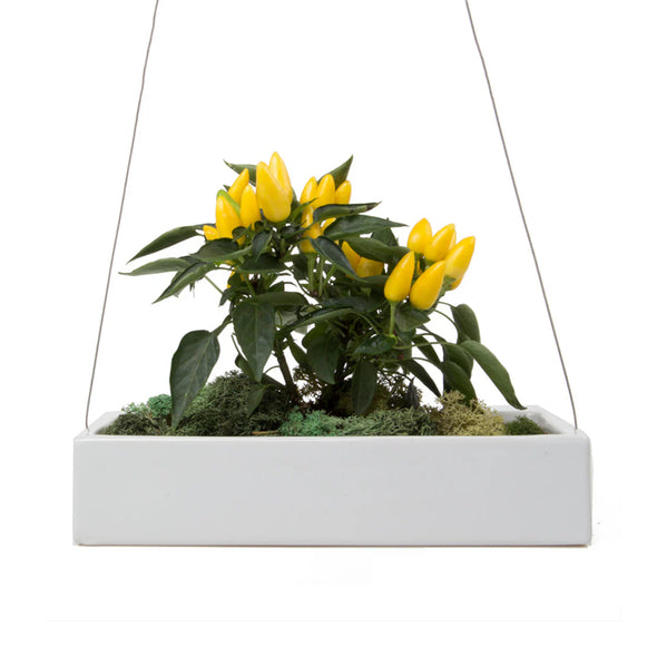 Ragna Hanging Planter