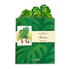 Monstera Large Pop-Up Greeting Card