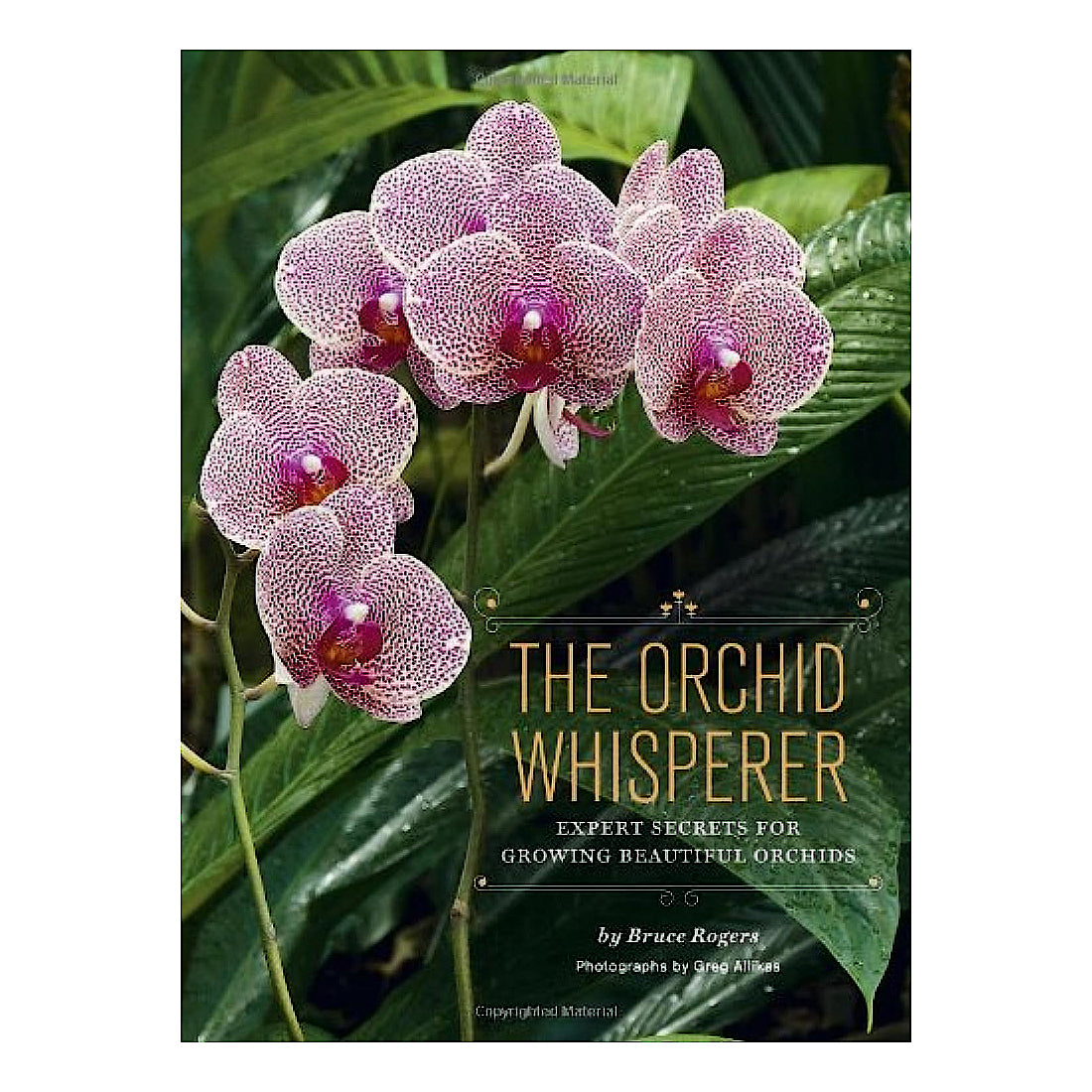 The Orchid Whisperer