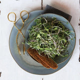 Brass Leaf Tongs