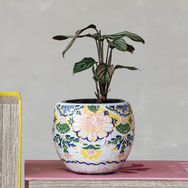 5" Botanical Terracotta Planter