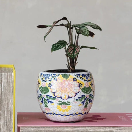 5" Botanical Terracotta Planter