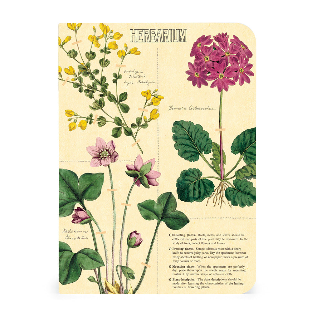 Herbarium Mini Notebook Set